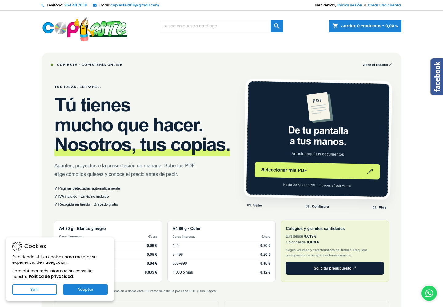 Web de Copieste con acceso al estudio de impresión online
